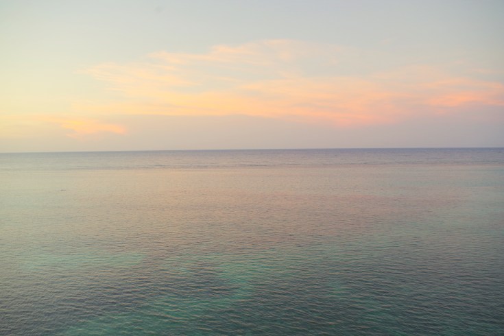 IMGP8237