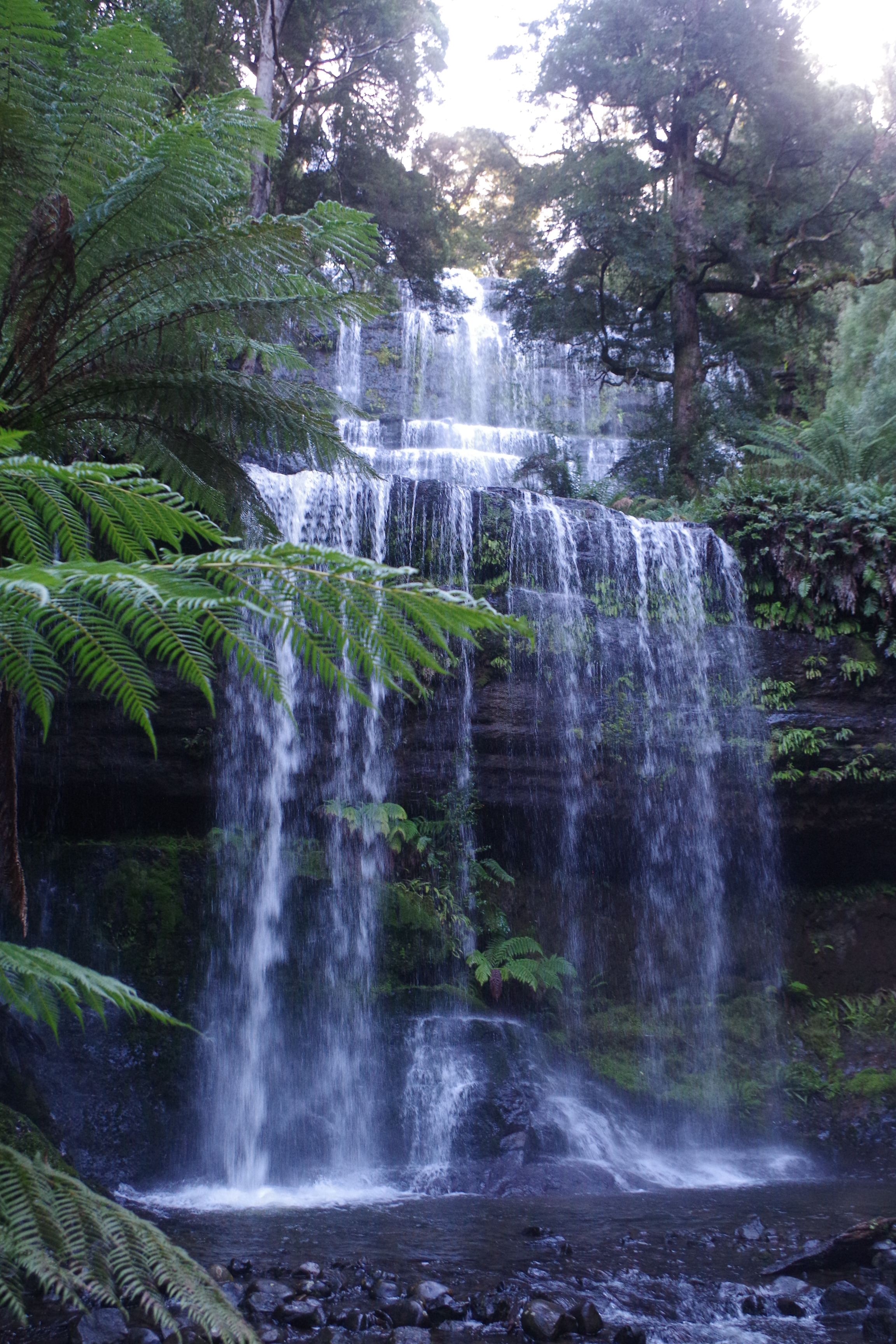 Russel Falls, Mt Field, Tasmania