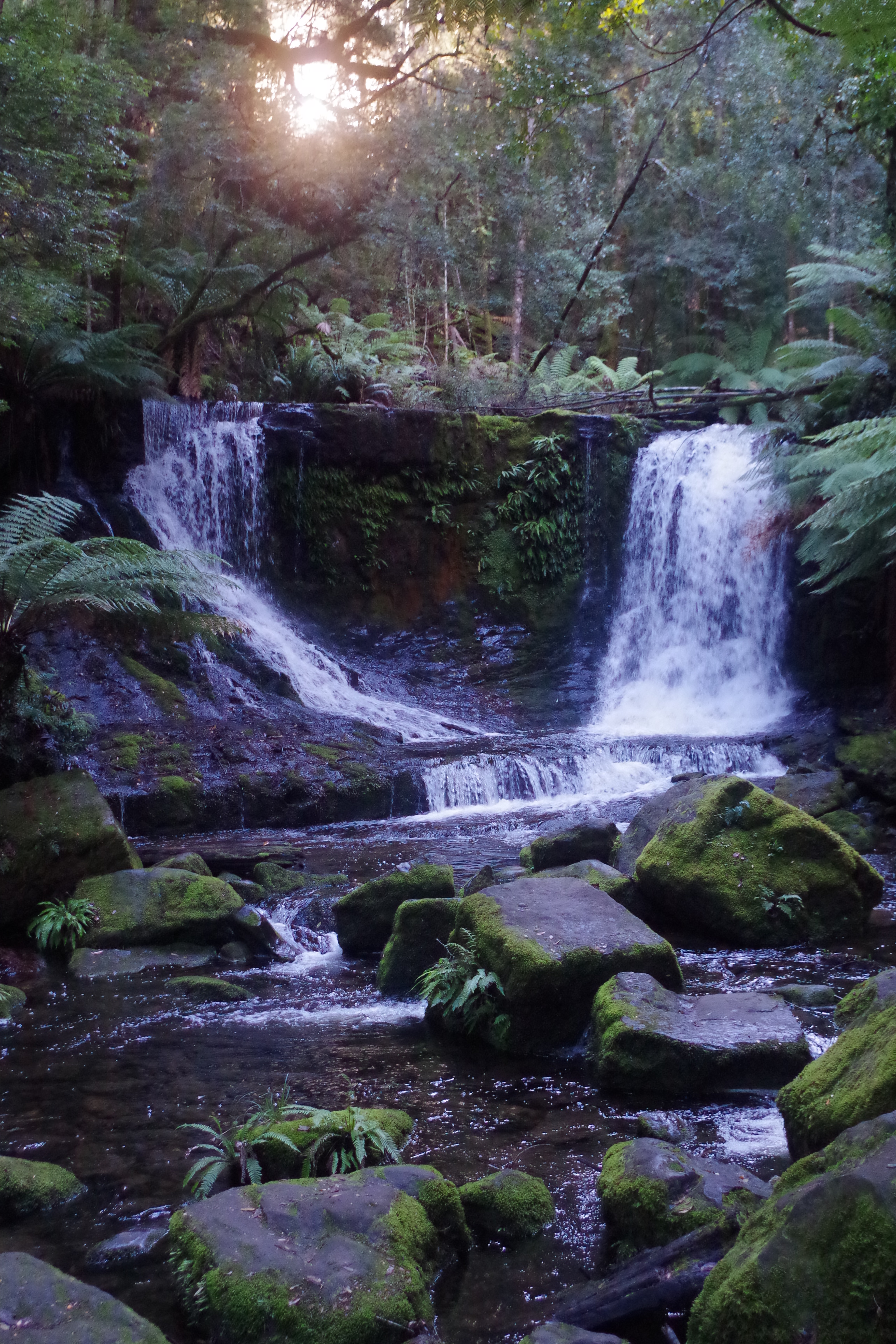 'Living Water' Mt Field, Tasmania