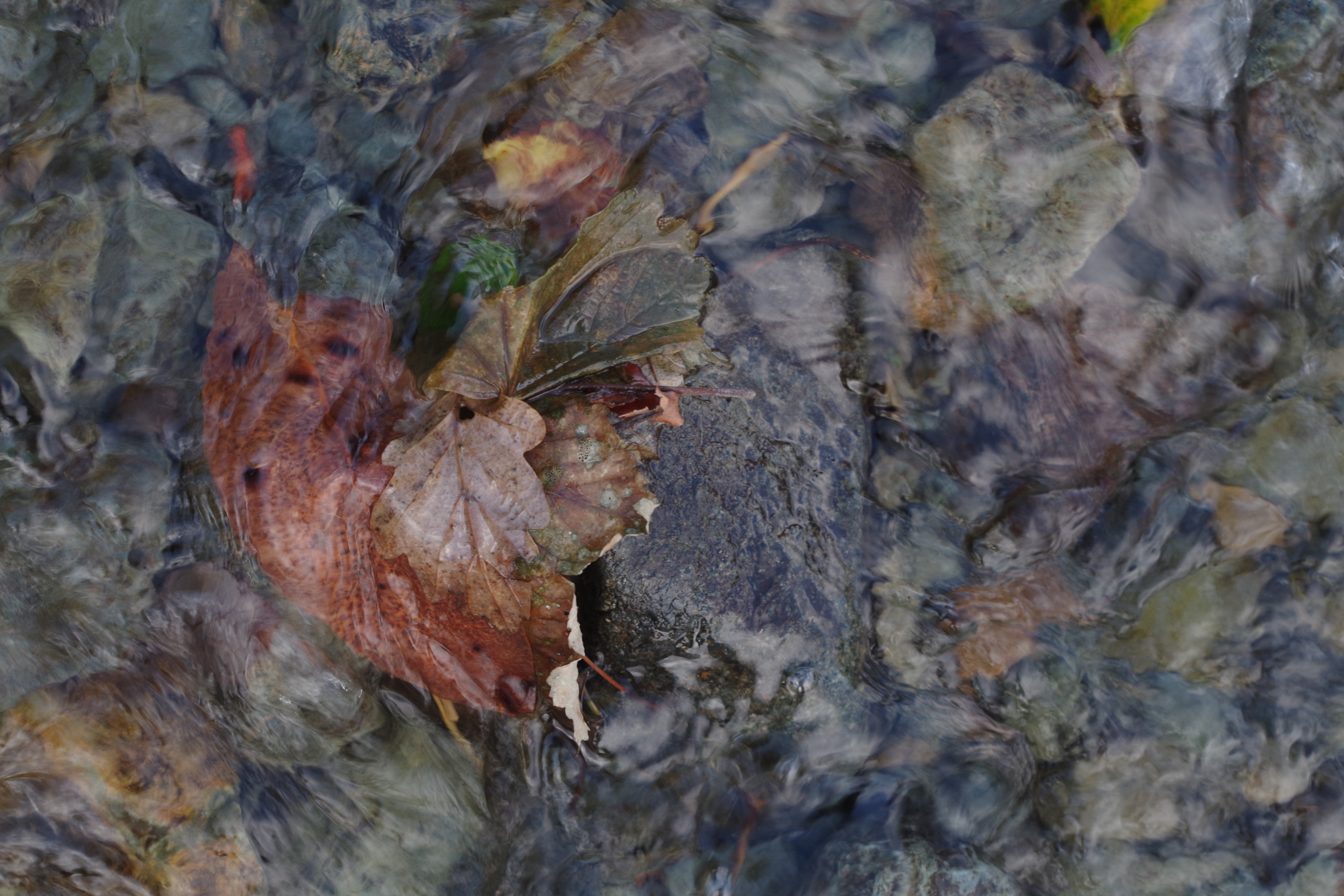 Fresh water spring, Cumbria