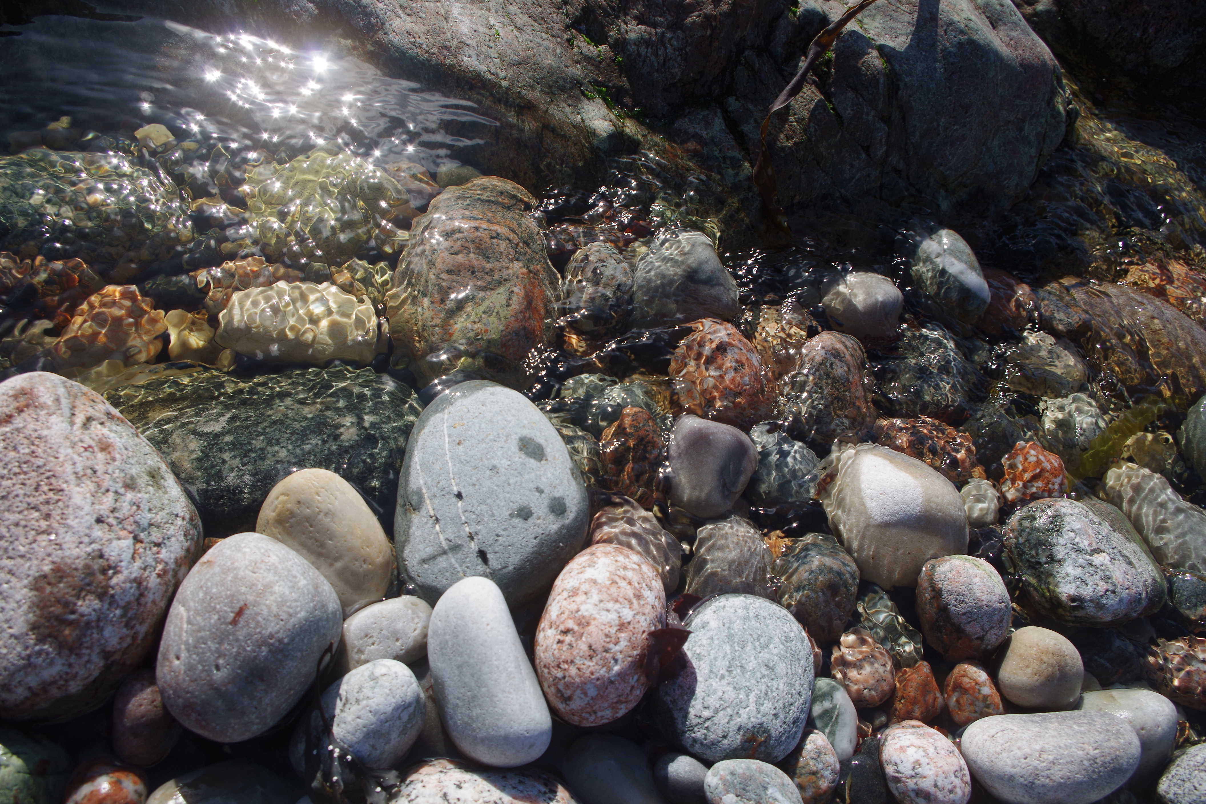 Fresh water spring running into the sea, Iona, Scotland