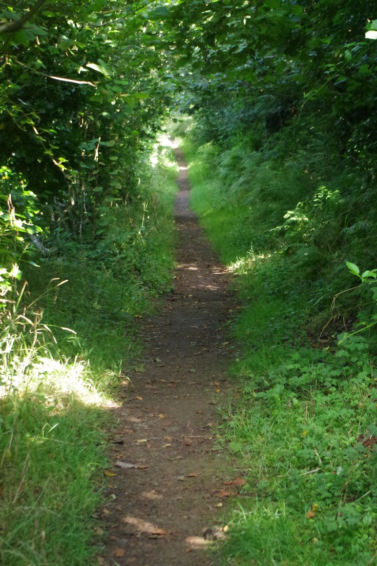 Pembrokshire, Wales, United Kingdom